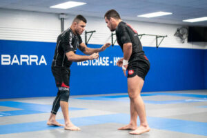 Self defense Houston Westchase Houston Texas