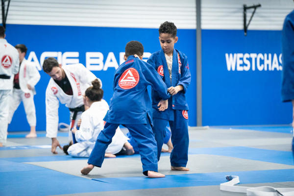 Children's self defense training Westchase Houston Texas