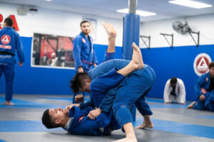 Self defense Houston Texas EUA