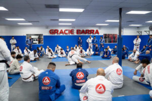 Martial arts belt testing prep Houston, TX