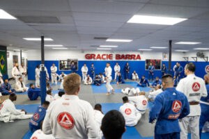 Martial arts physical therapy & recovery tips Houston, TX