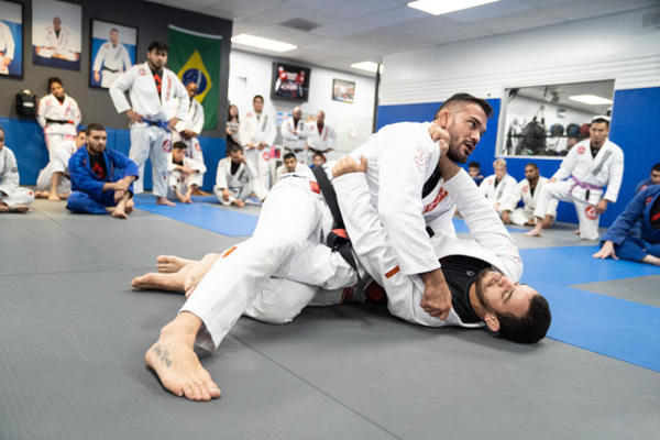 Martial arts for health and wellness Houston, TX 