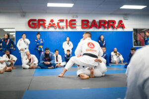 Martial arts for health and wellness Houston, TX