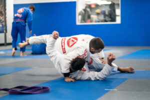 Gracie Barra Westchase: What is it that students learn in martial arts Westchase sessions in Houston, TX