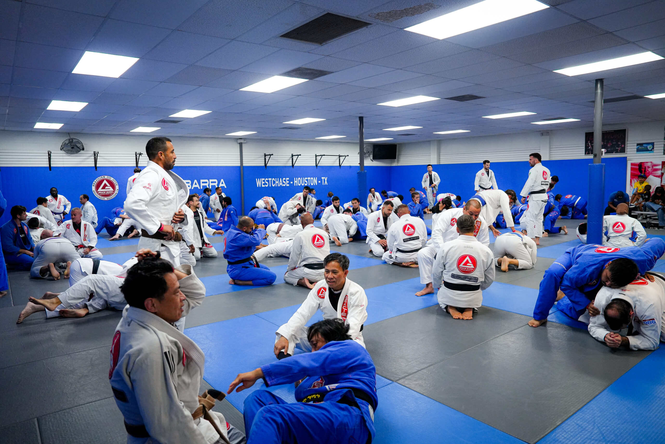 Adult Brazilian jiu-jitsu students training on the mats at Gracie Barra Westchase
