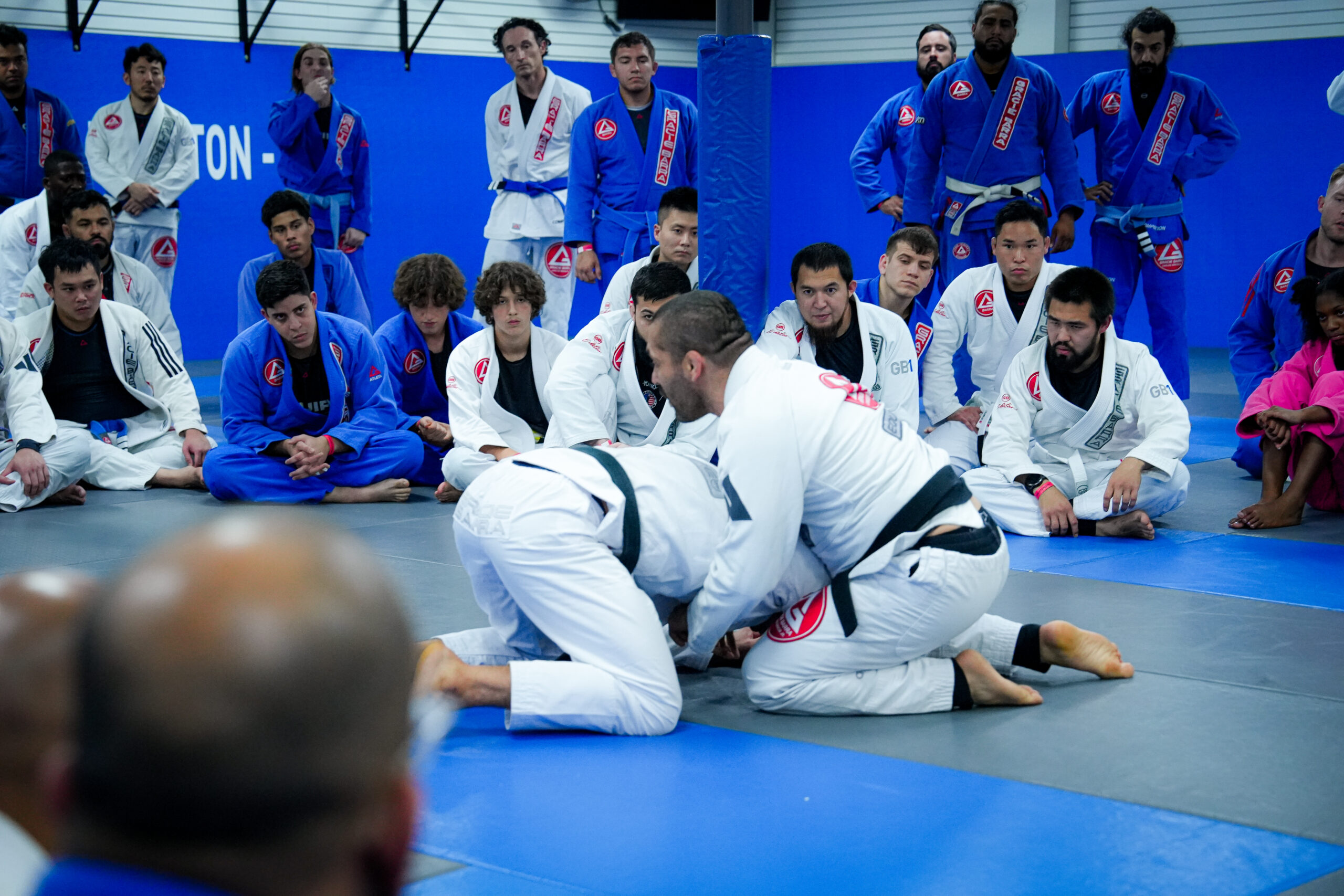 Students learning Brazilian jiu-jitsu techniques in an adult class at Gracie Barra Westchase