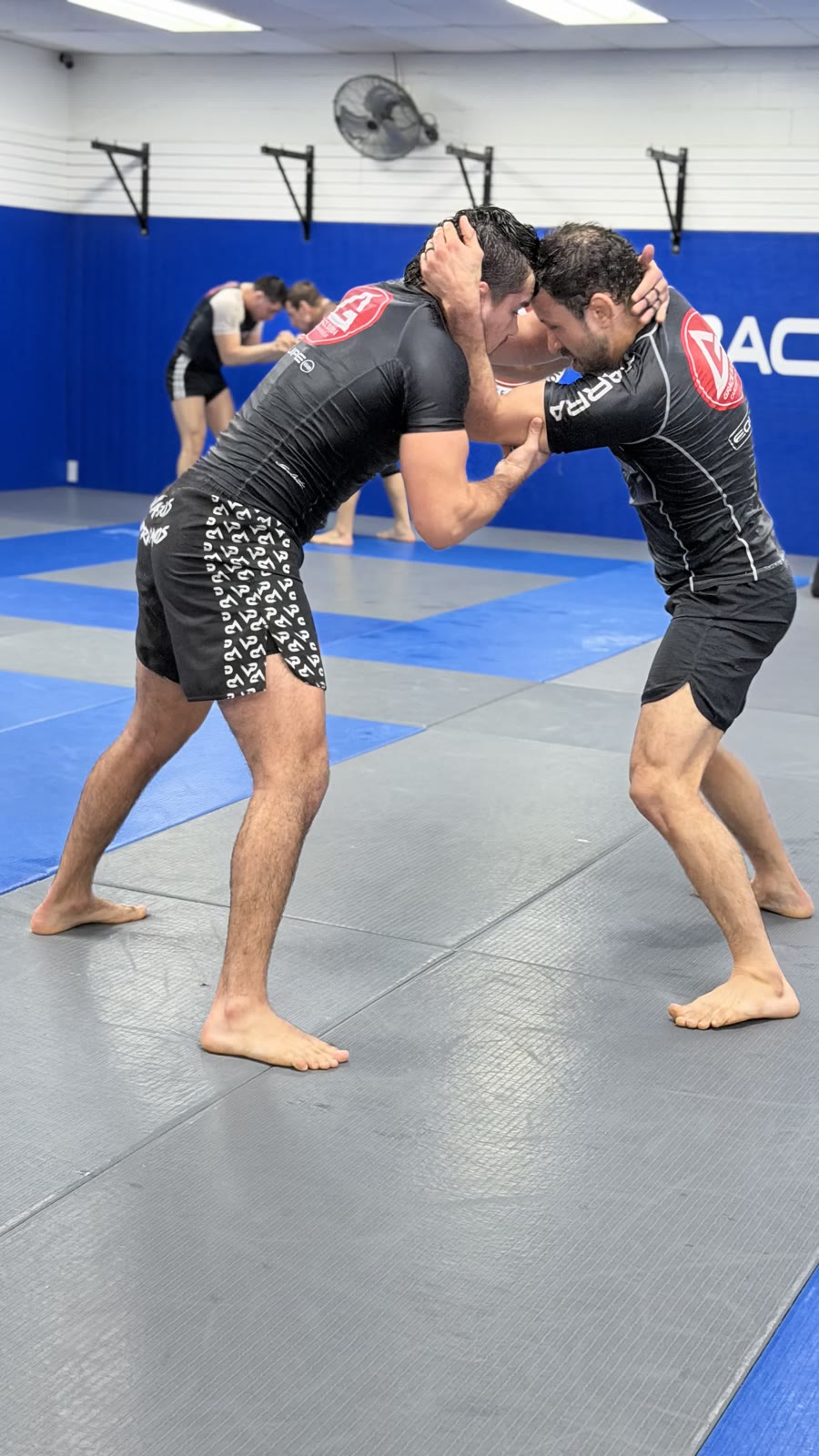 Adult students practicing standing hand fighting in No-Gi jiu-jitsu class at Gracie Barra Westchase in Houston.